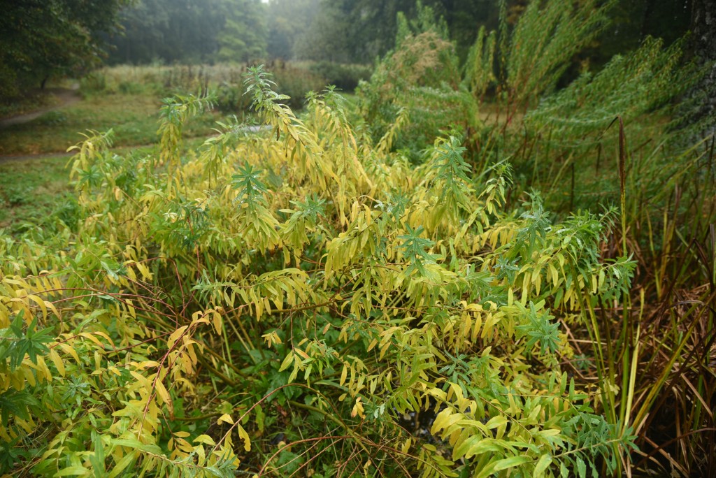 2016 10 15okt foto workshop 002