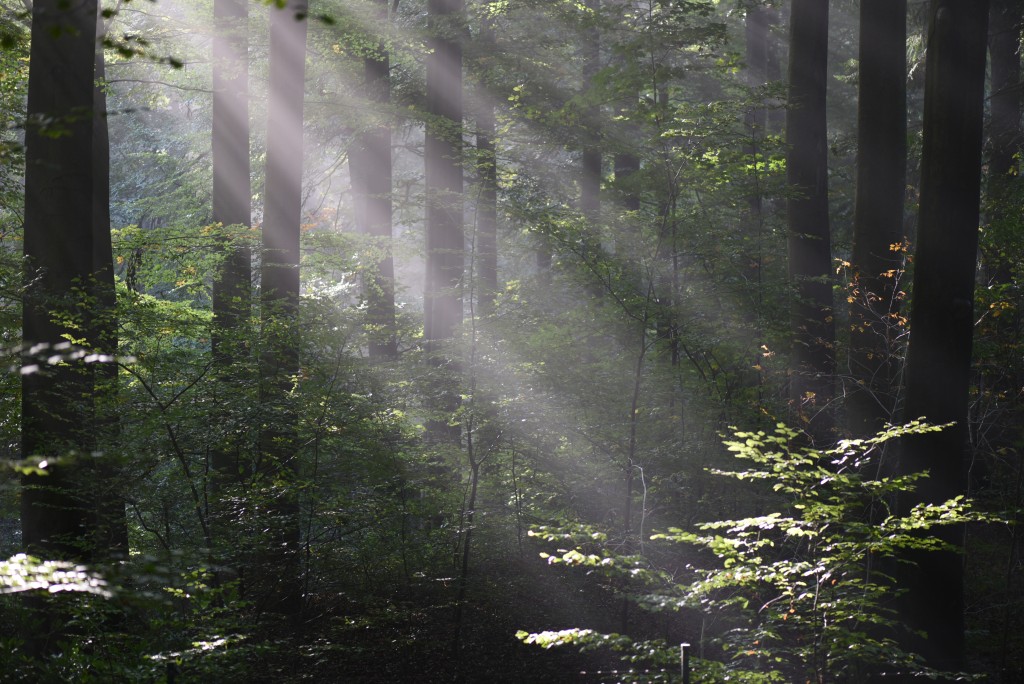 2016 10 23okt De Zelfontspanners 001