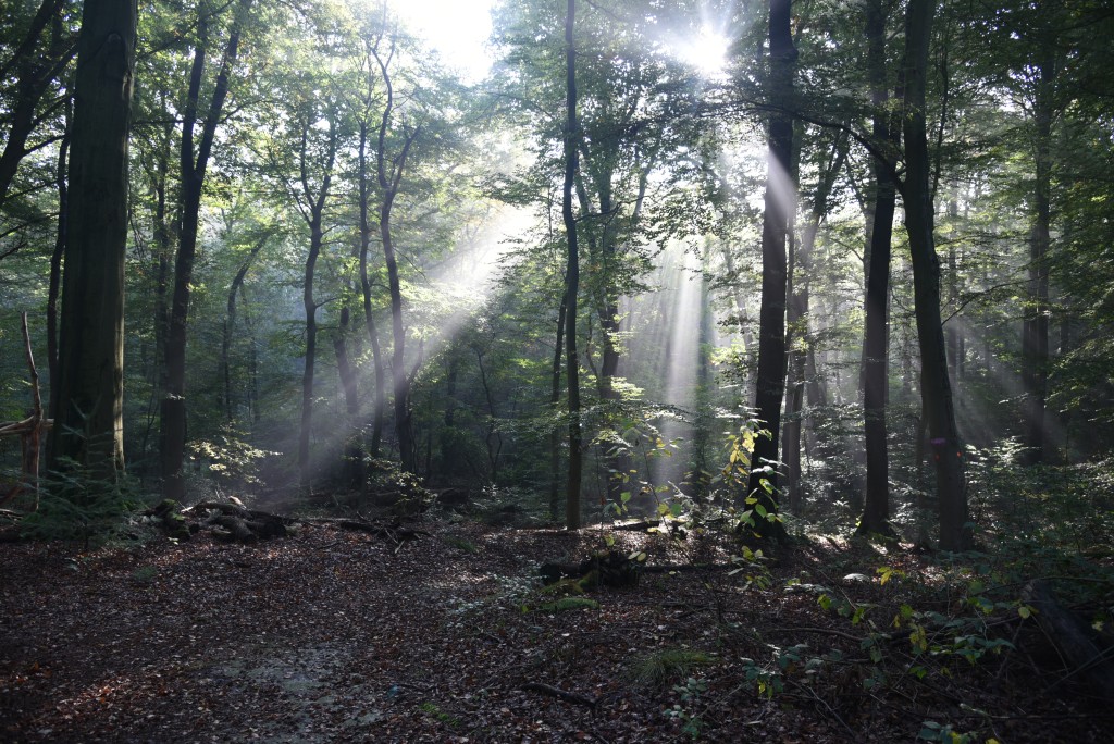 2016 10 23okt De Zelfontspanners 002