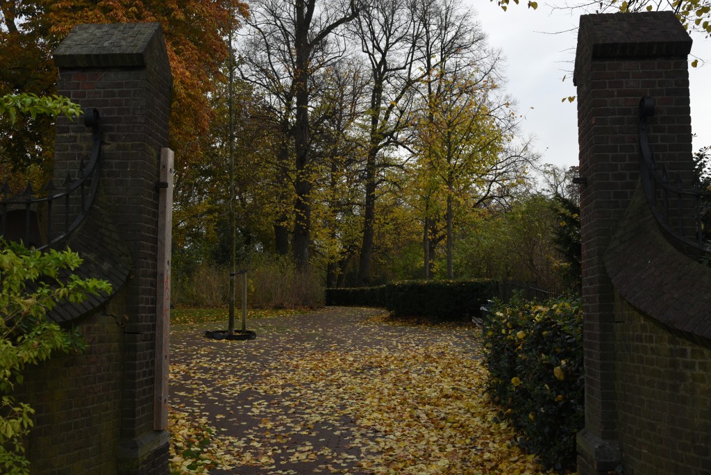 2016 11 05nov foto workshop 003