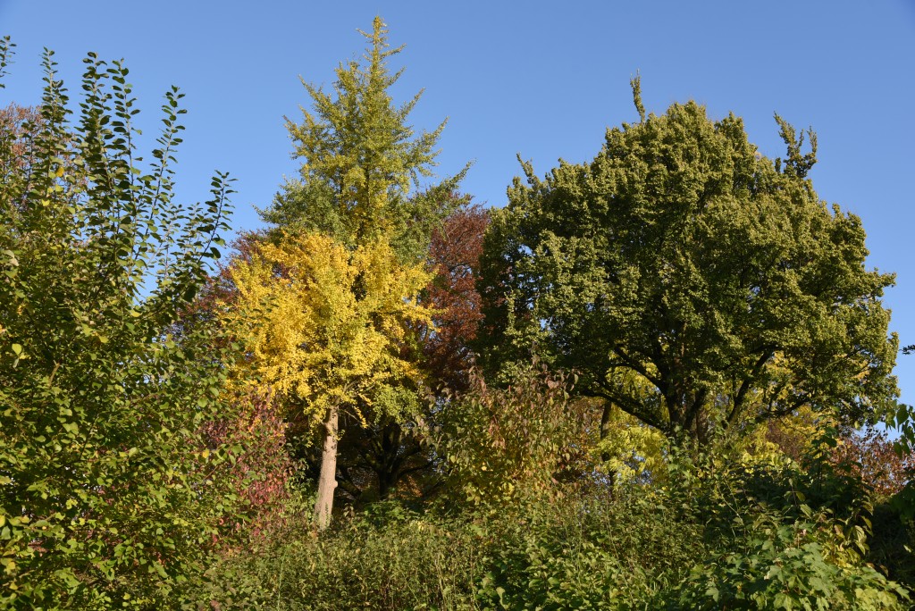 2016 11 05nov foto workshop 007