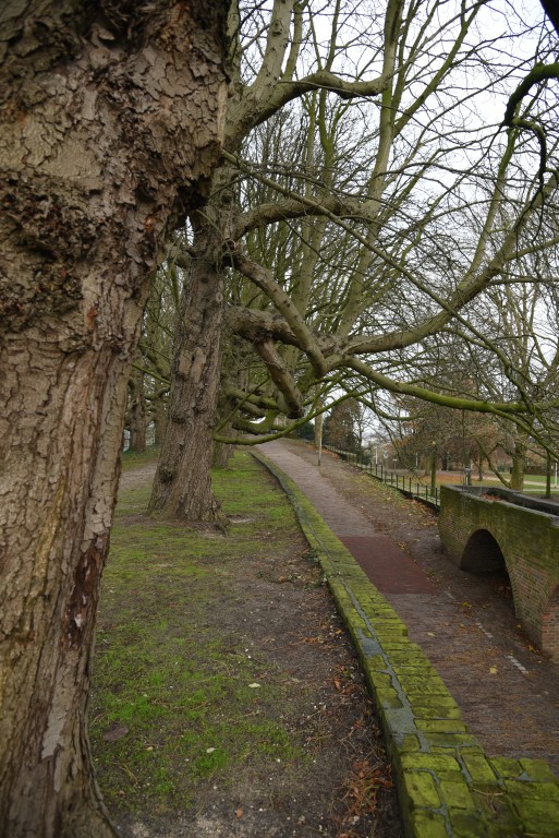 2016 11 27nov de Zelfontspanners 007