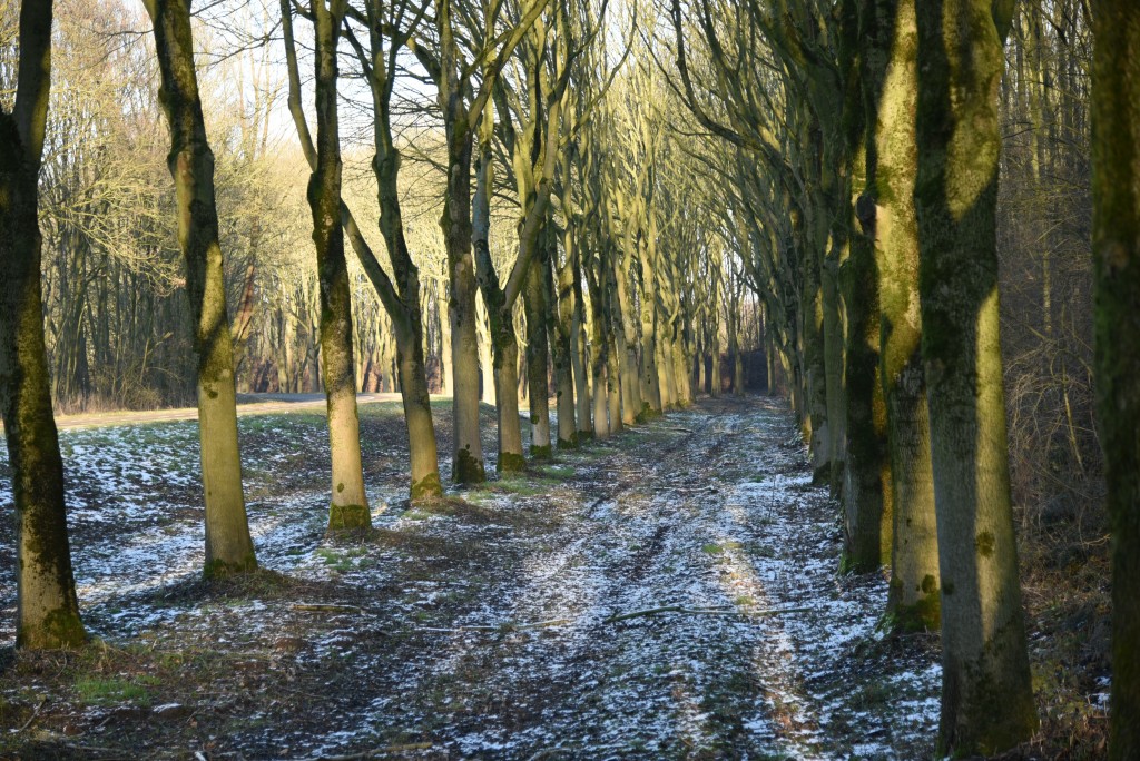 2017 01 21jan FotoRoos workshop 001