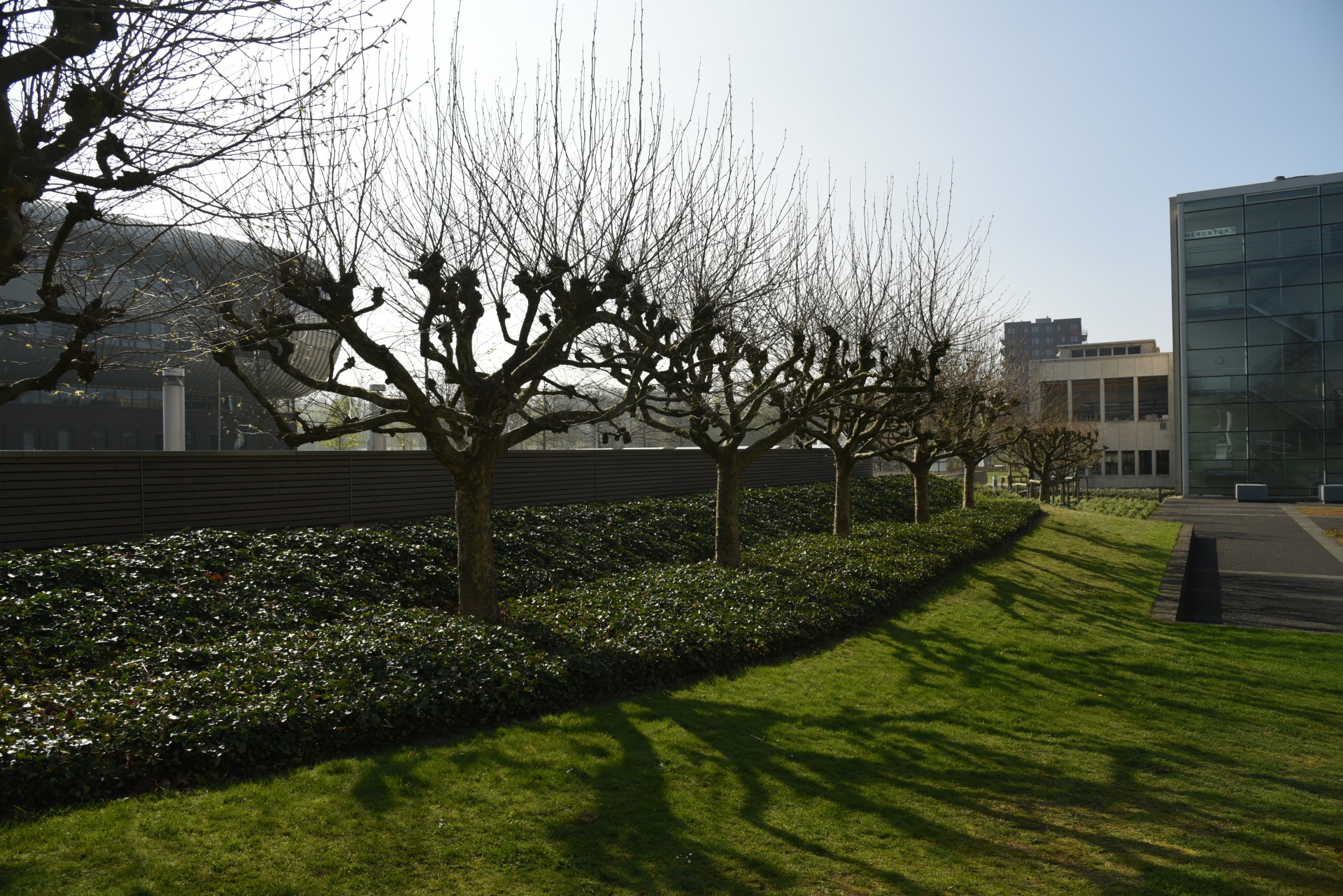 2017 04 Nijmegen Driehuizerweg pub01 004a