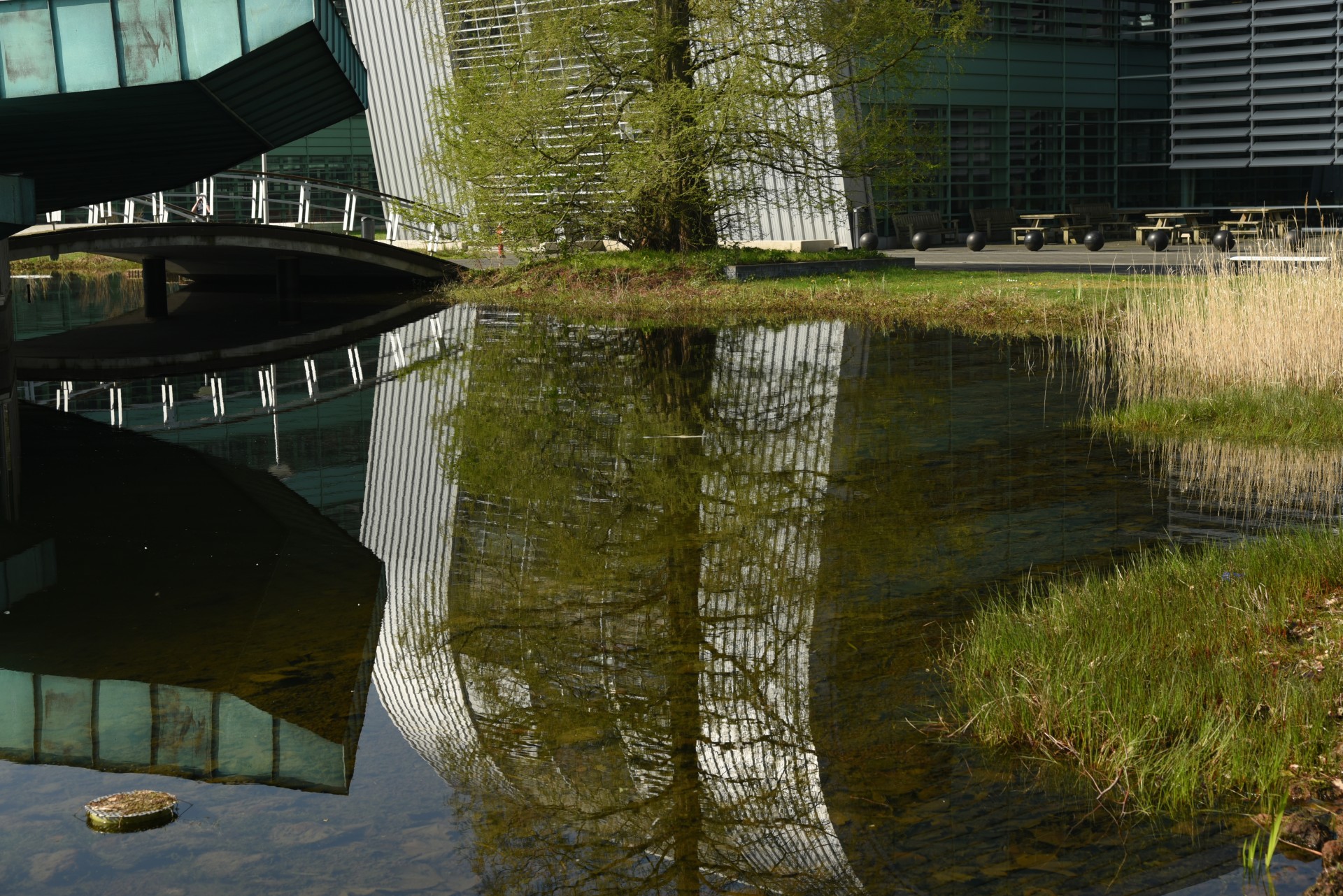 2017 04 Nijmegen Driehuizerweg pub01 009a