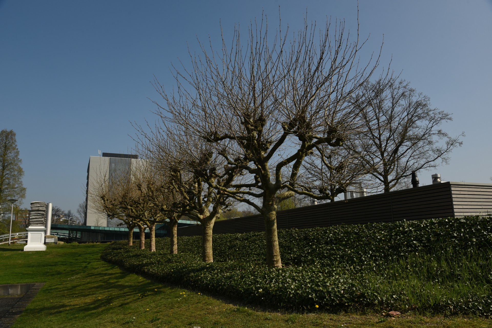 2017 04 Nijmegen Driehuizerweg pub01 014a