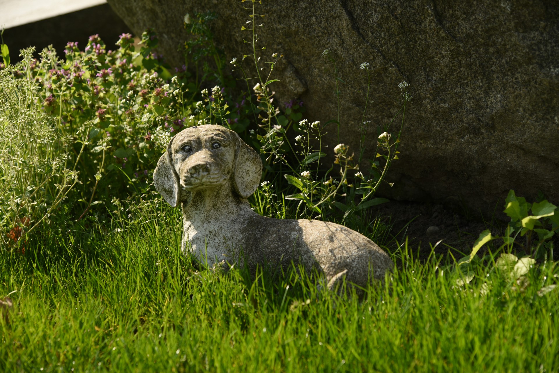 2017 04 Nijmegen Driehuizerweg pub01 017a