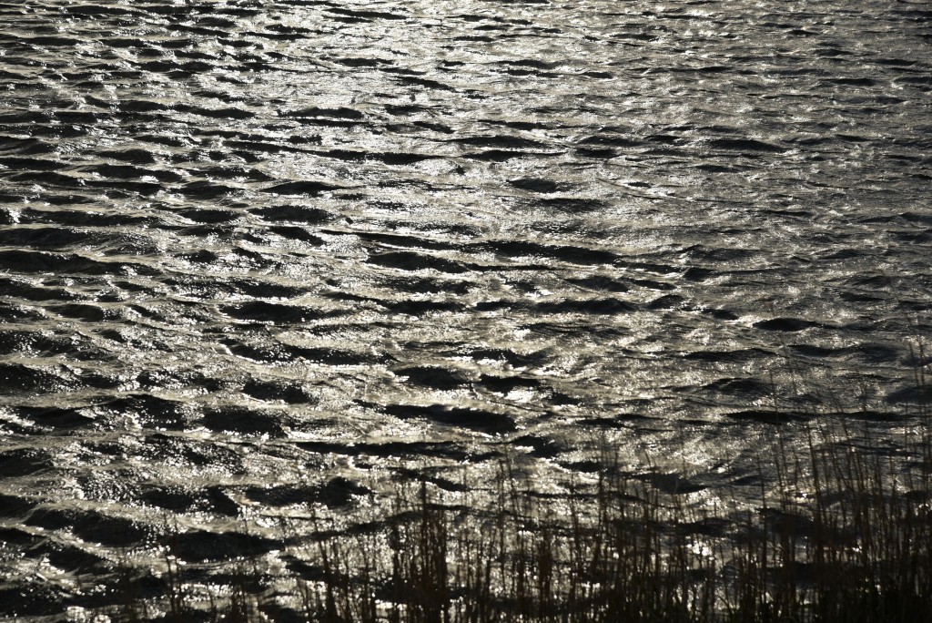 2017 04 15apr Eeemnes Eemland wandeling 007