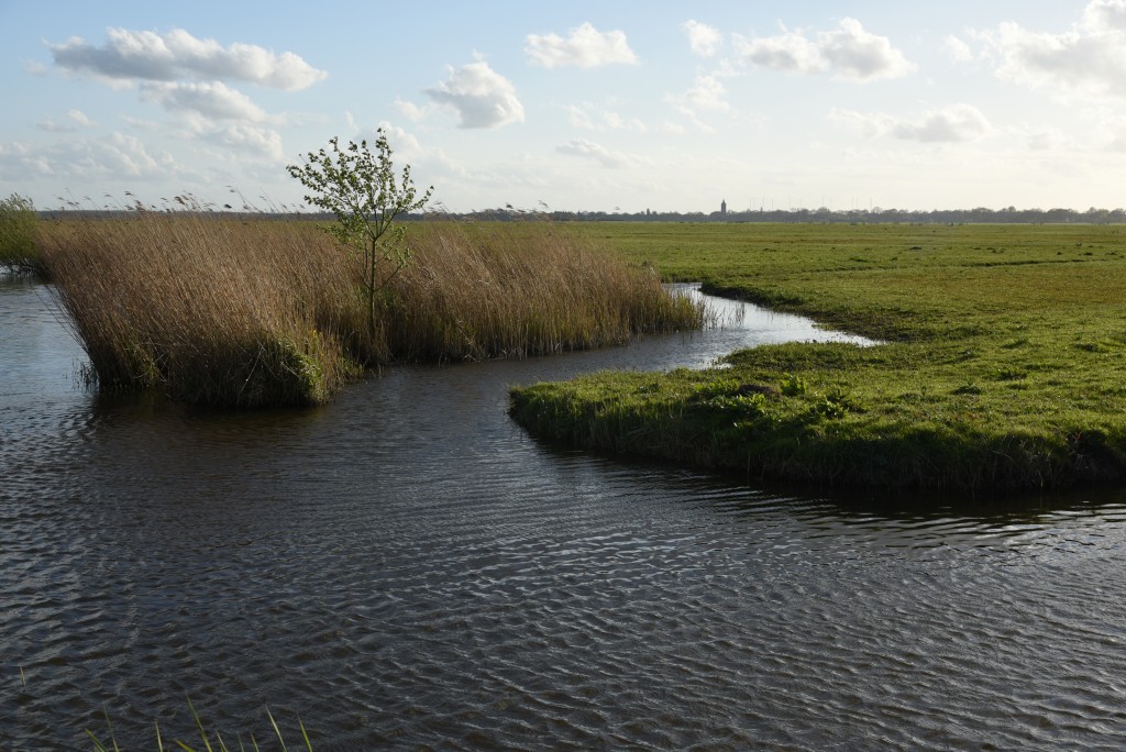 2017 04 15apr Eeemnes Eemland wandeling 015