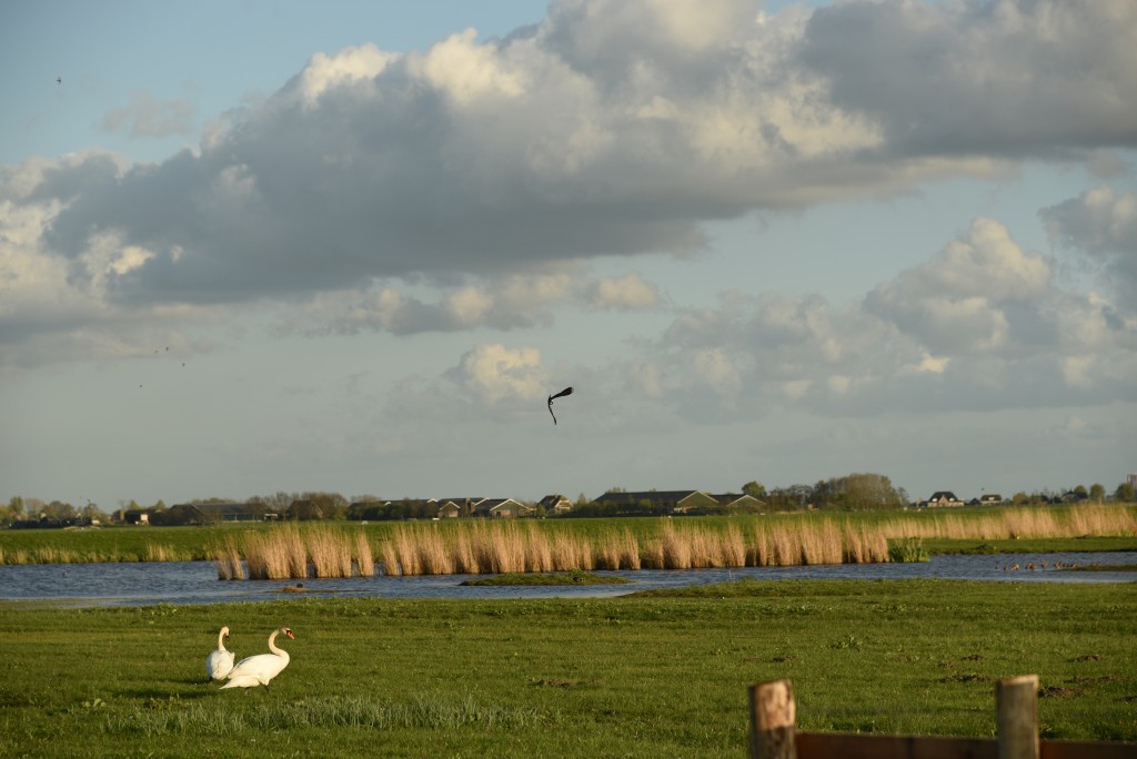 2017 04 15apr Eeemnes Eemland wandeling 022