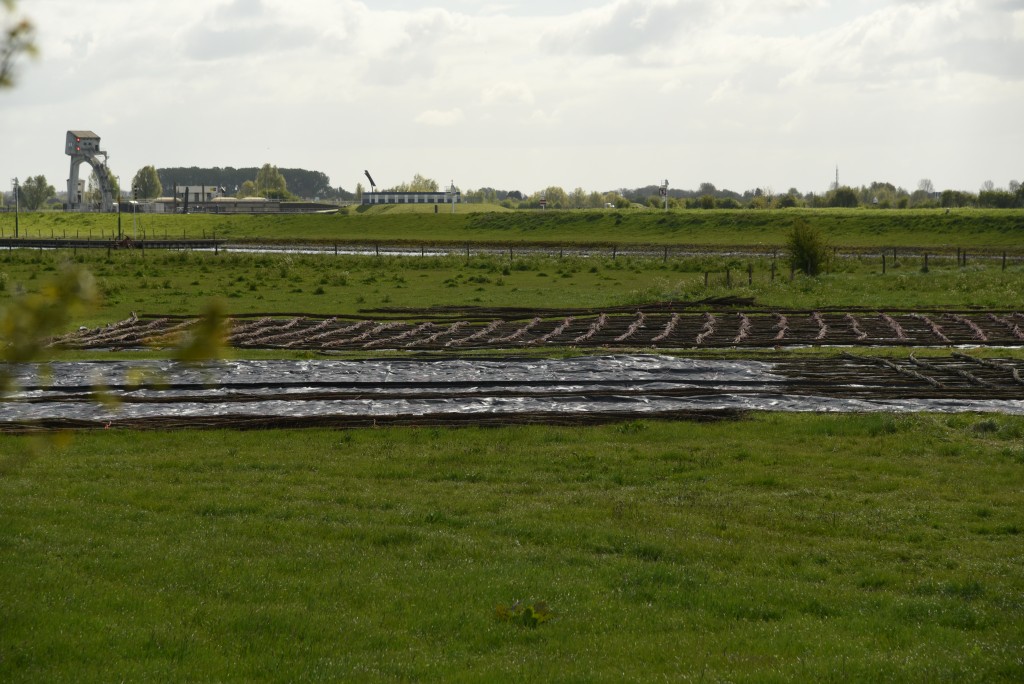 2017 04 22apr fietsexcursie NatuurMilieu WbD 004