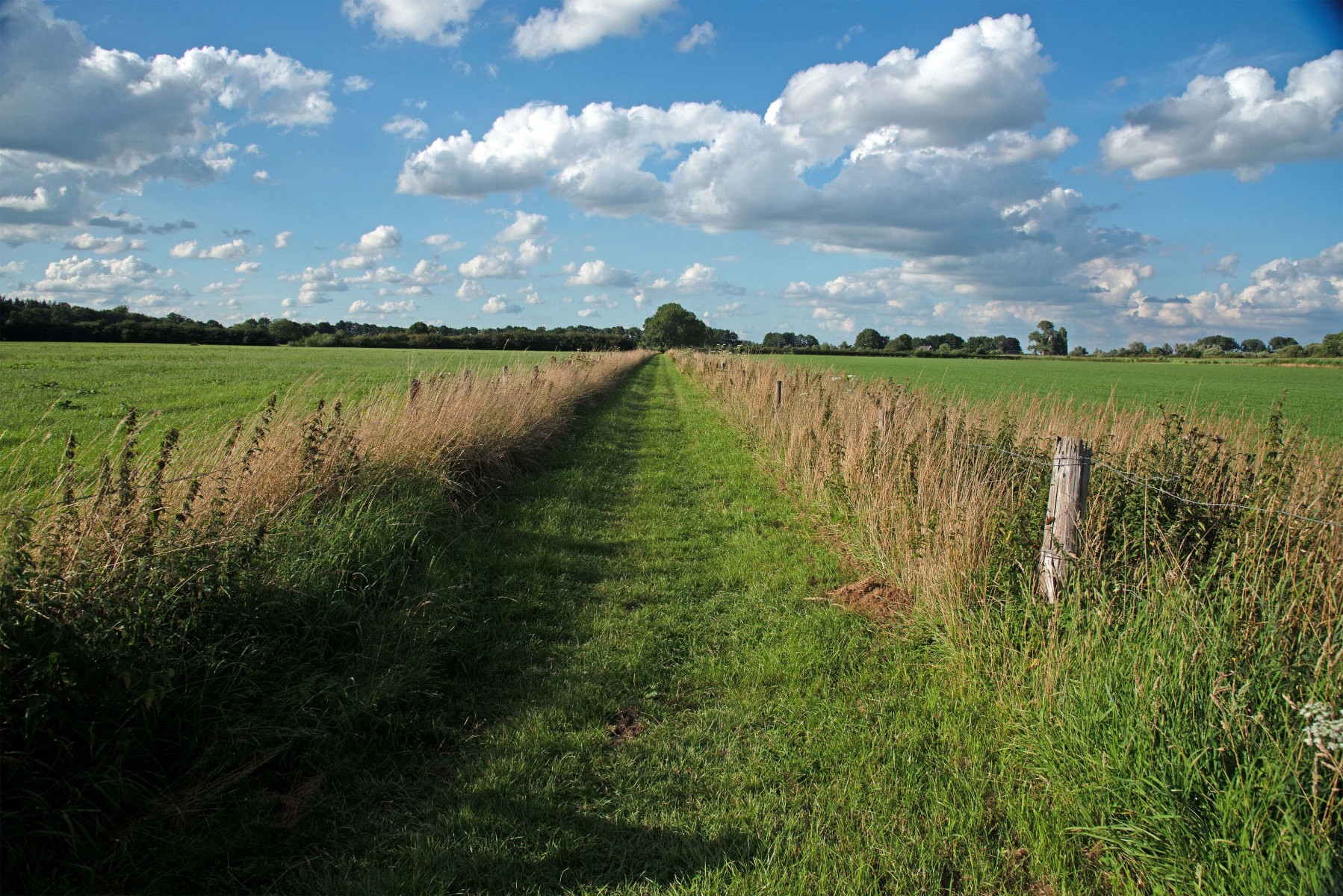 2020 07 26 DSC 1493 bew01L02 Voorst BeekzichtIJssel