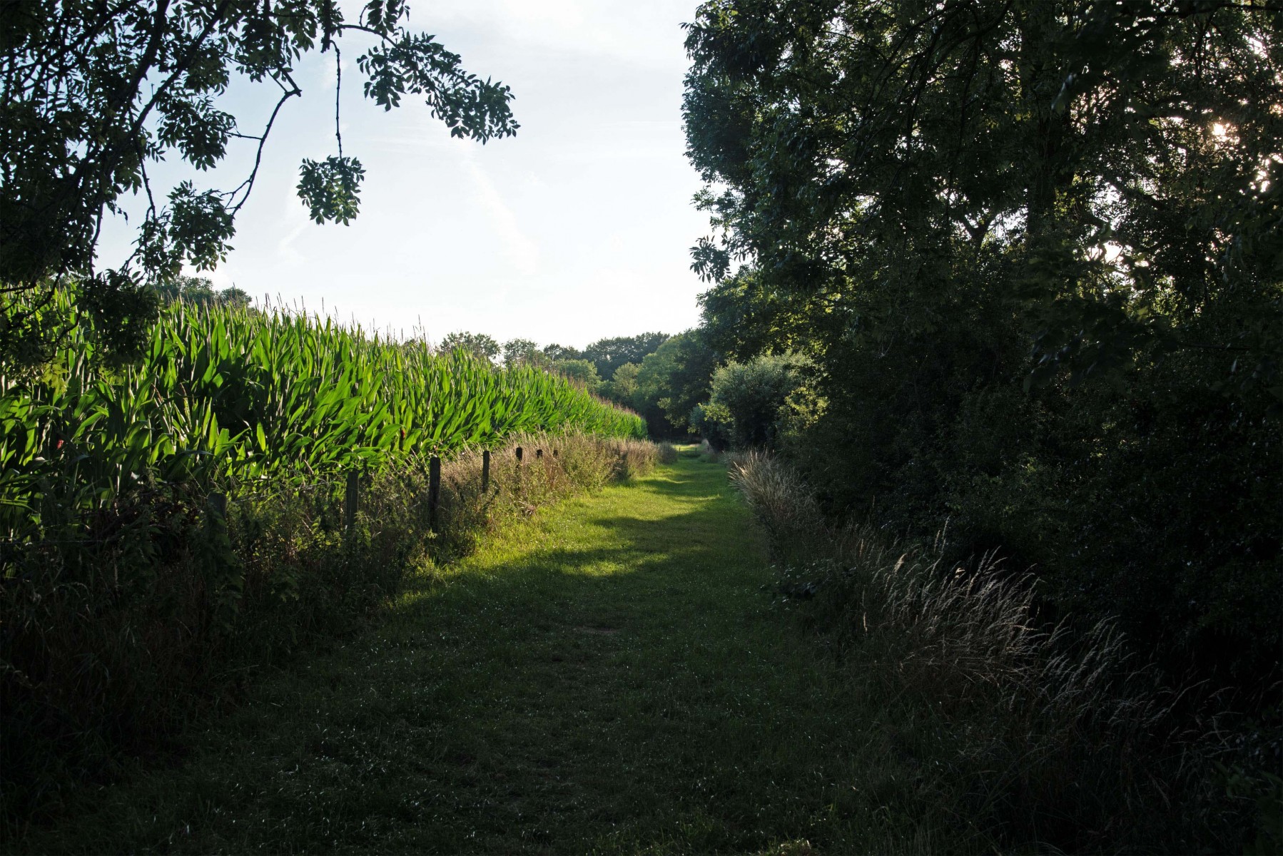 2020 07 26 DSC 1512 bew01L02 Voorst BeekzichtIJssel