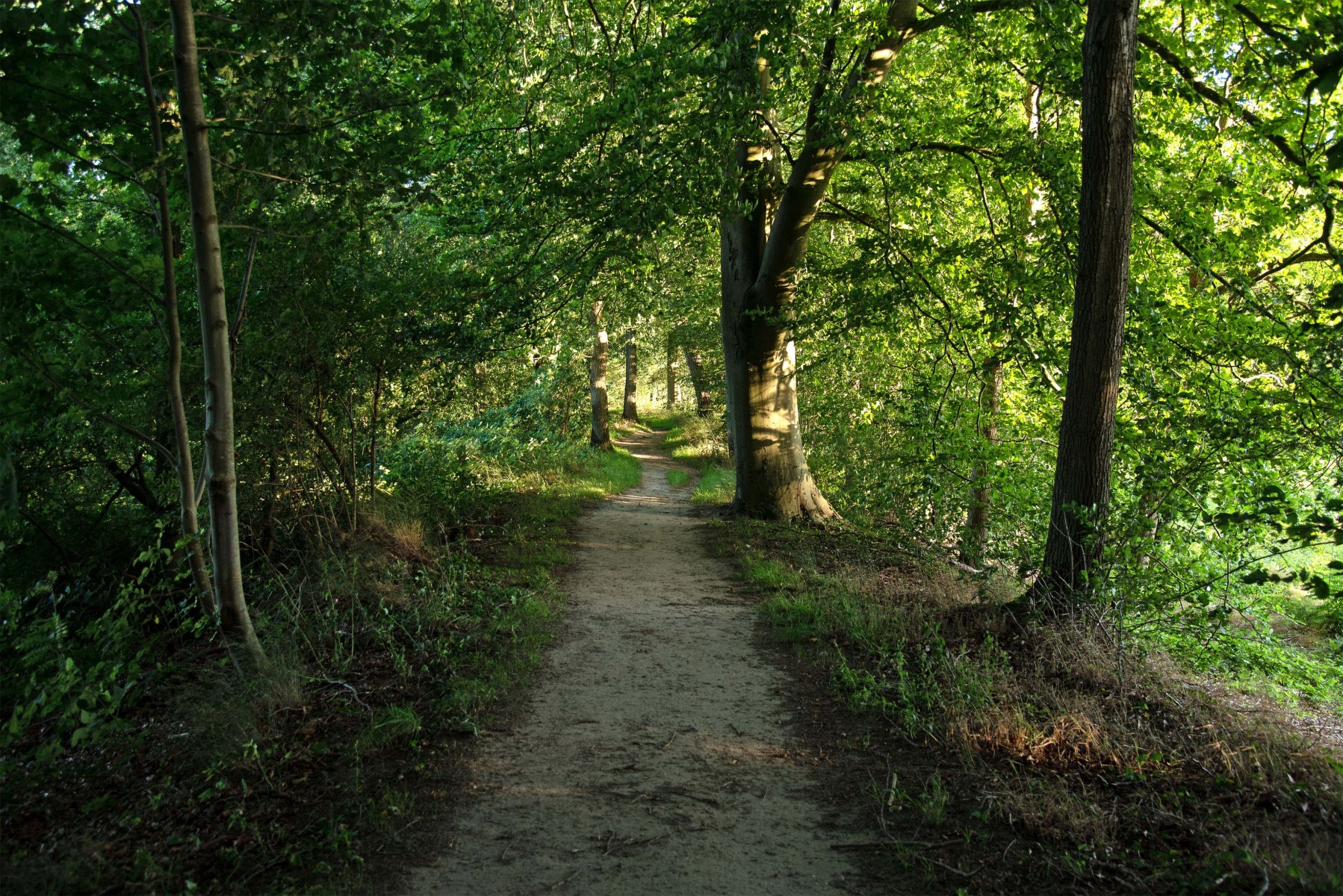 2020 07 26 DSC 1518 bew01L02 Voorst BeekzichtIJssel