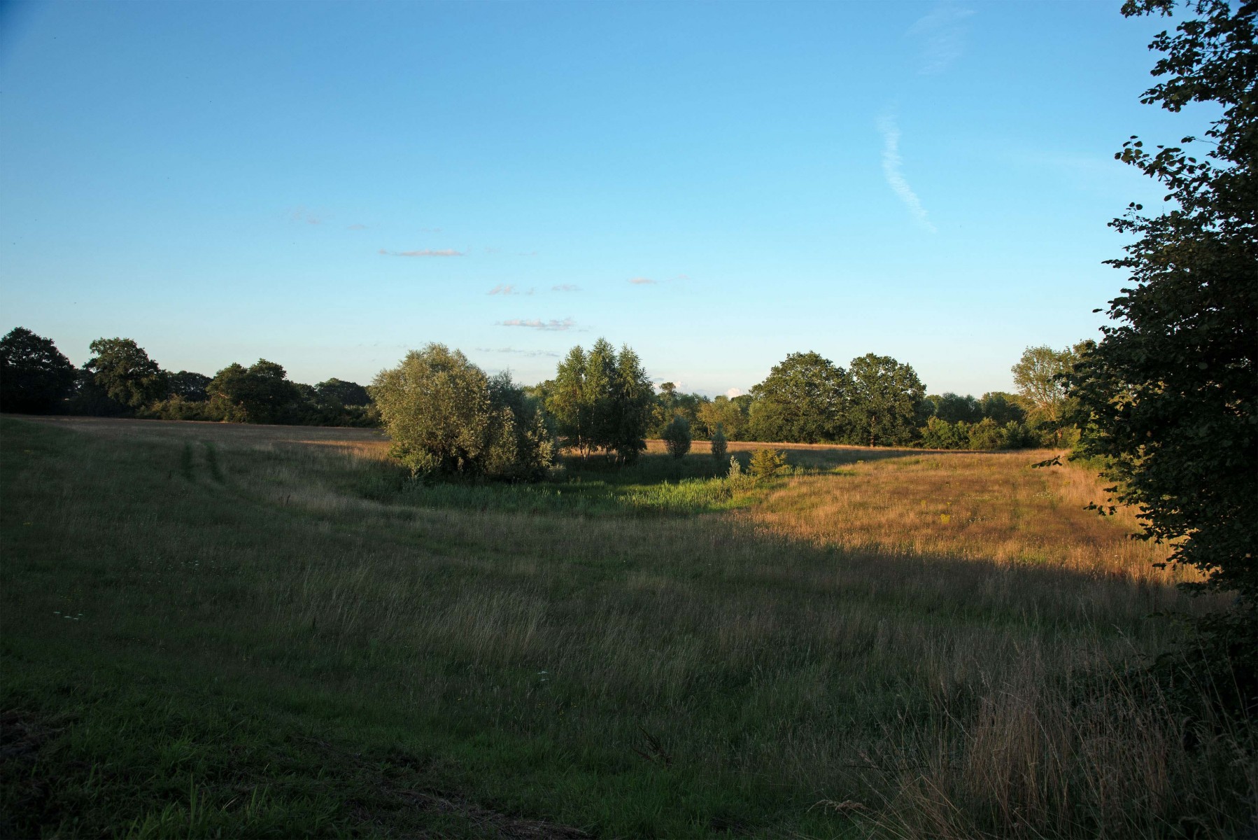 2020 07 26 DSC 1527 bew01L02 Voorst BeekzichtIJssel