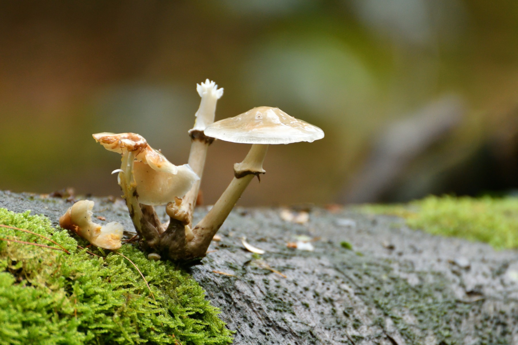 2023 10 15okt WandelbosTilburg DSC 2279