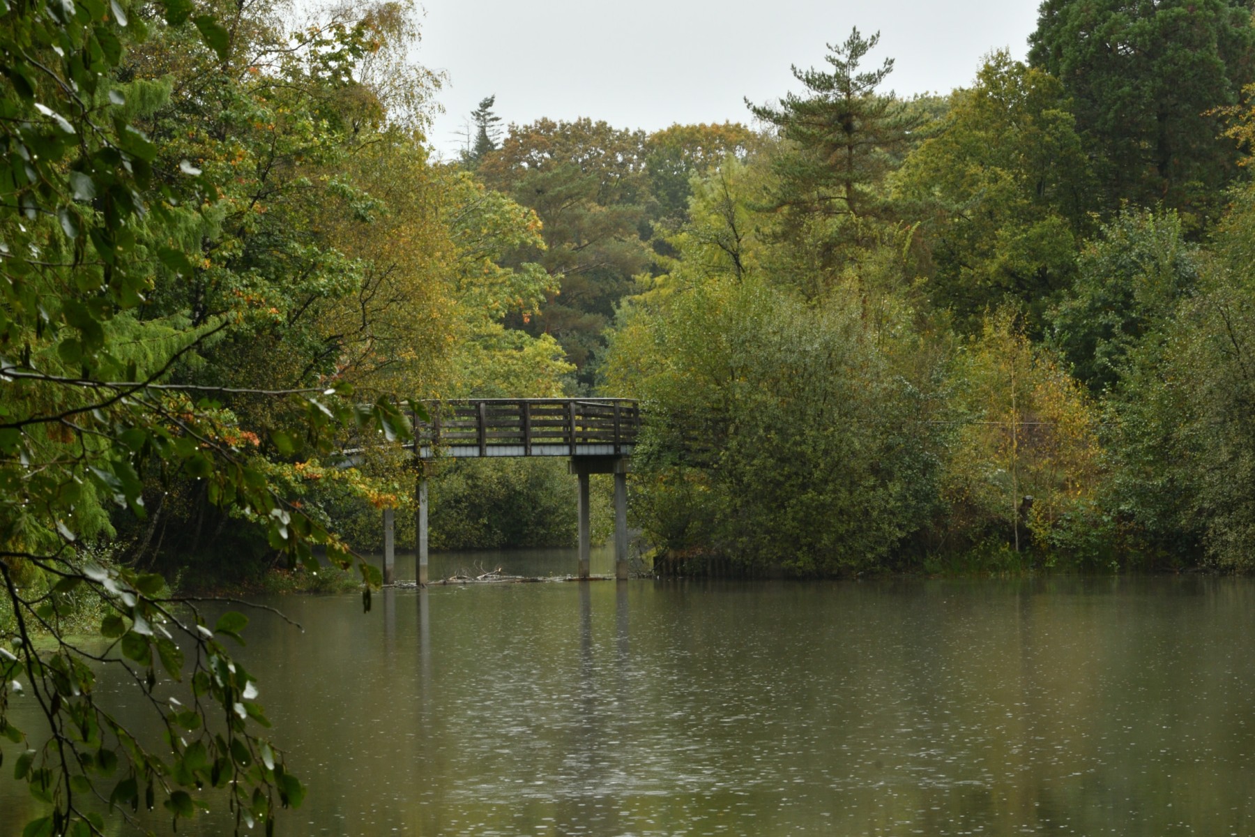 2023 10 15okt WandelbosTilburg DSC 2342