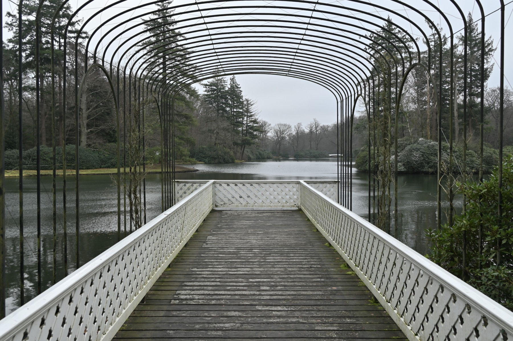 2023 12 17dec Kroondomein HetLoo 4595