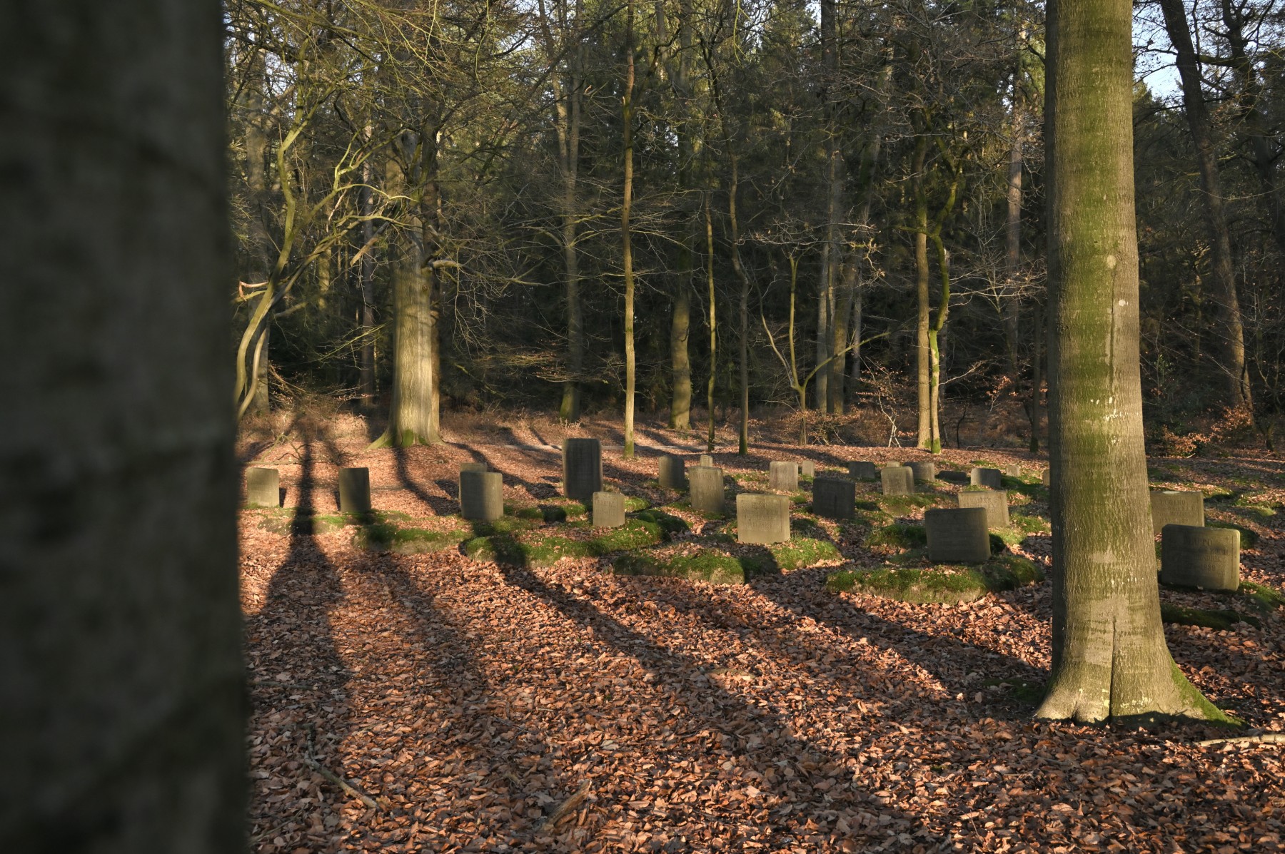 2023 12 17dec van1350u Apeldoorn HetLoo 4659