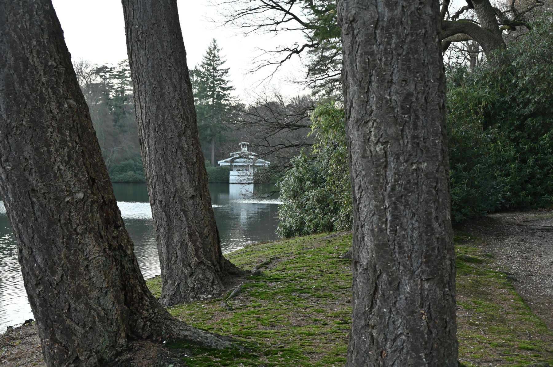 2023 12 17dec van1350u Apeldoorn HetLoo 4705