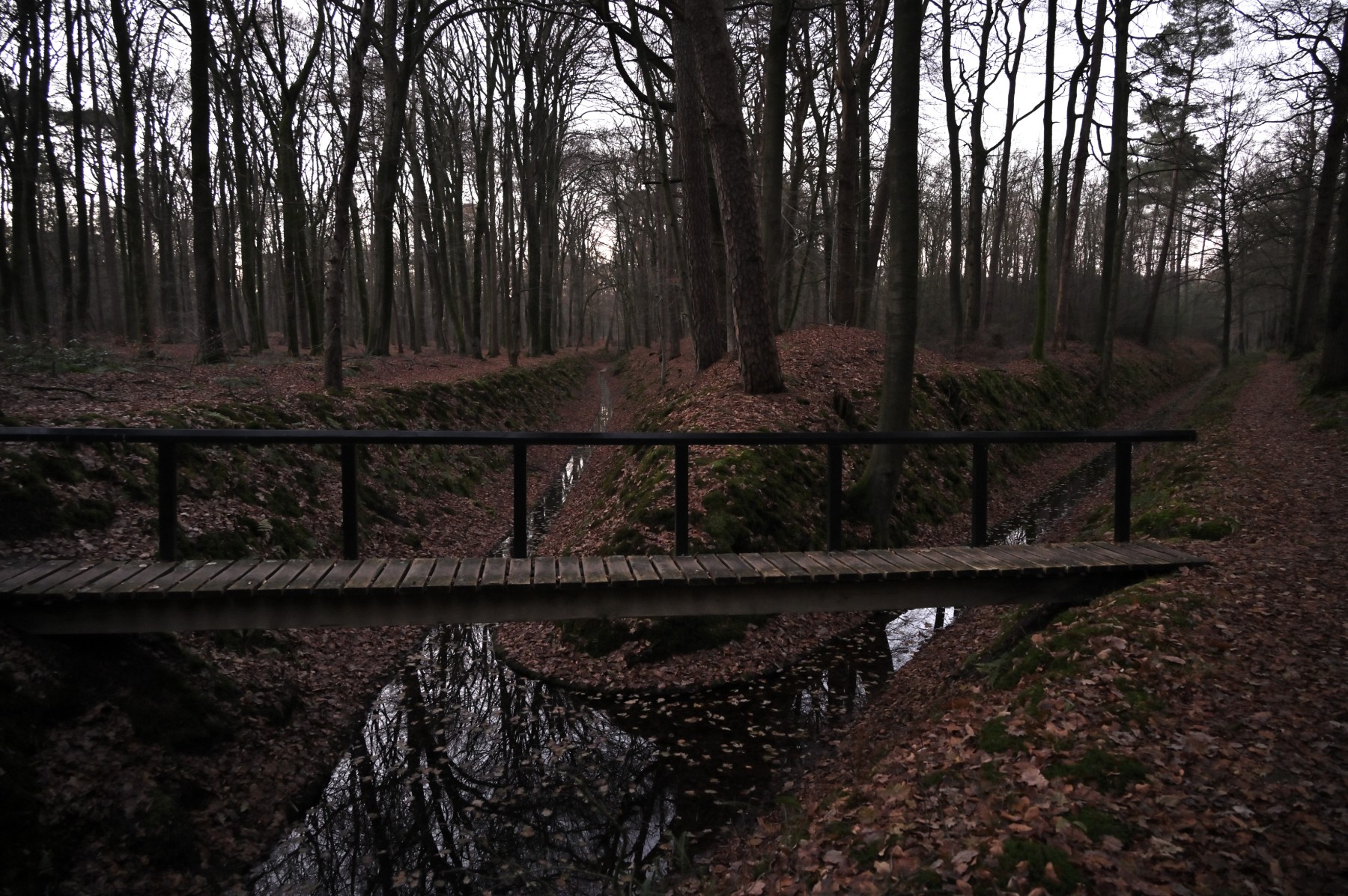 2023 12 17dec van1350u Apeldoorn HetLoo 4734