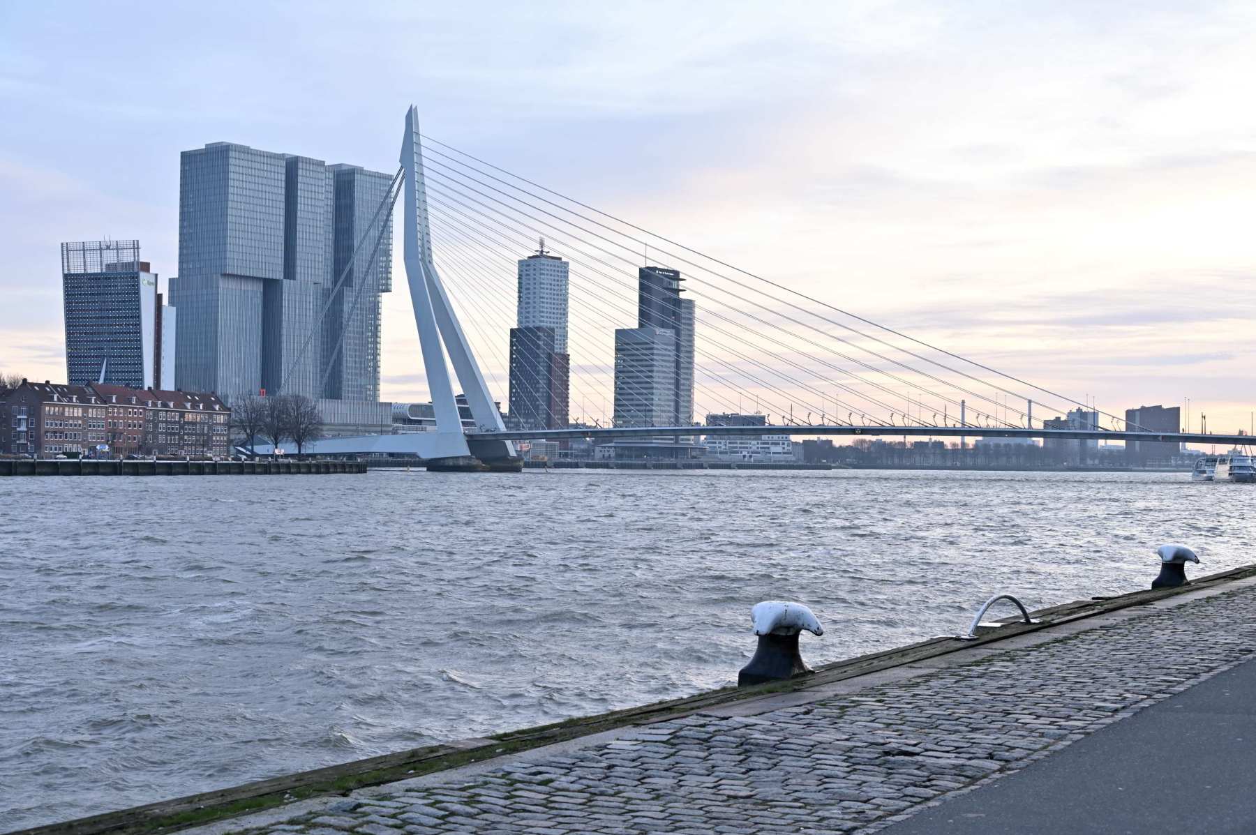 2024 01 20jan Rotterdam04 Erasmusbrug DSC 5014