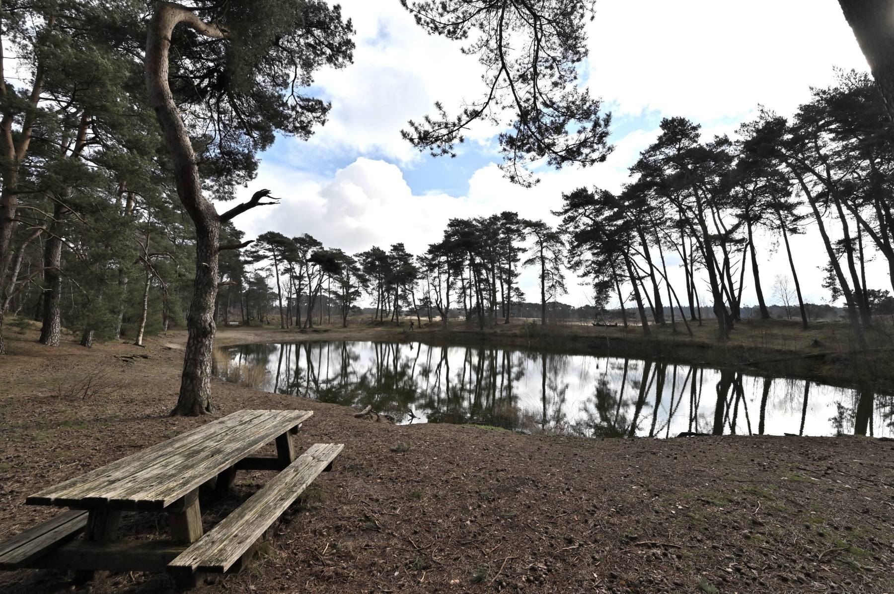 2024 02 25feb WekeromseZand Zont NZ6II 14 30mm GC30 DSC 5414