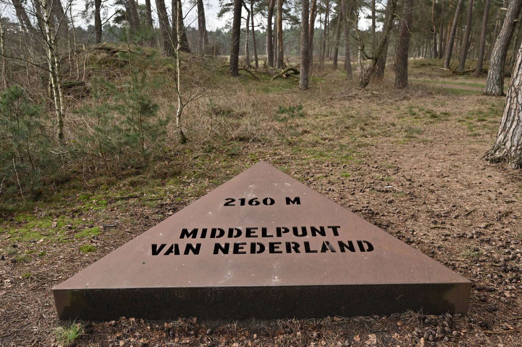 2024 02 25feb WekeromseZand Zont NZ6II 14 30mm GC30 DSC 5416