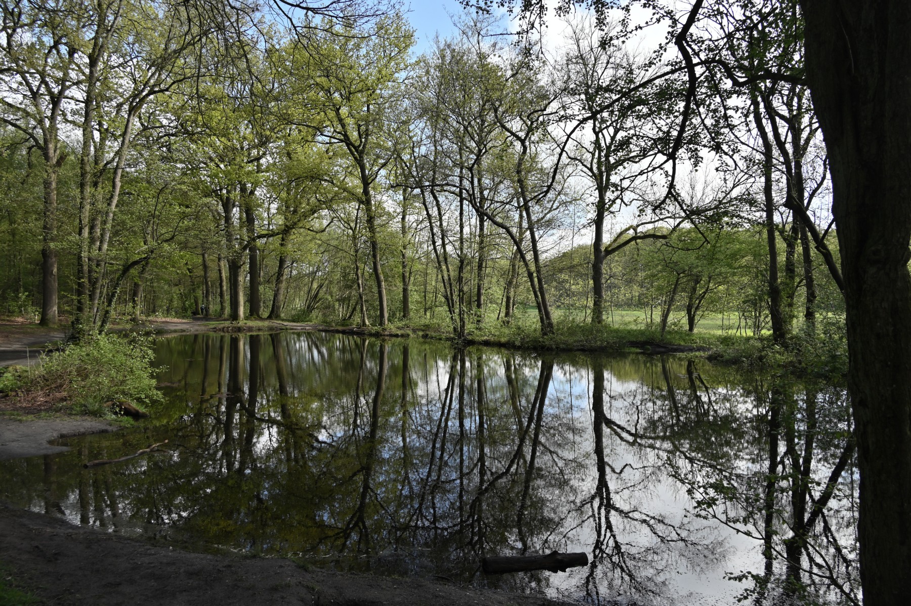 2024 04 21apr Beekdal Renkum NZ6II GK DSC 6008