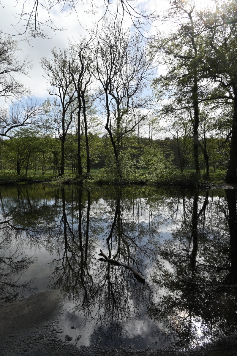 2024 04 21apr Beekdal Renkum NZ6II GK DSC 6010