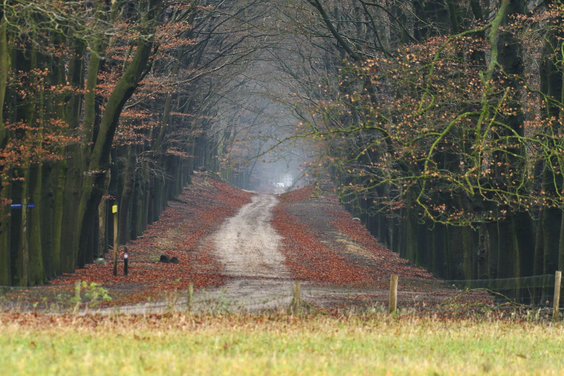 2024 12 15dec Otterlo PlankenWambuis Zont HC DSC 4454 008