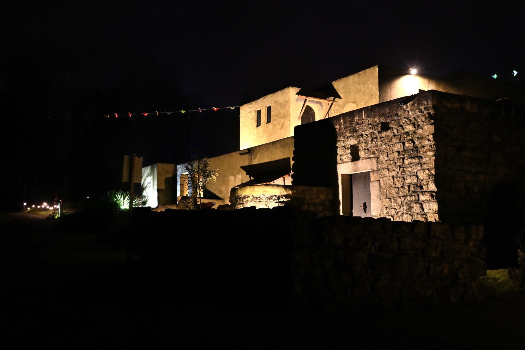 2025 01 03jan Orientales BergenDal NZ6III HC DSC 0849 002