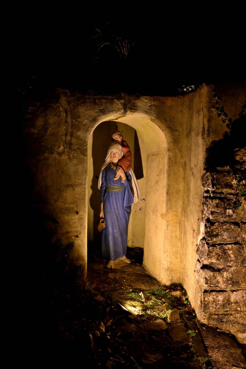 2025 01 03jan Orientales BergenDal NZ6III HC DSC 0851 003