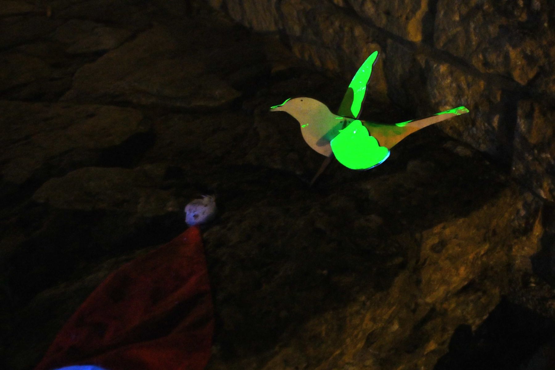 2025 01 03jan Orientales BergenDal NZ6III HC DSC 0858 005