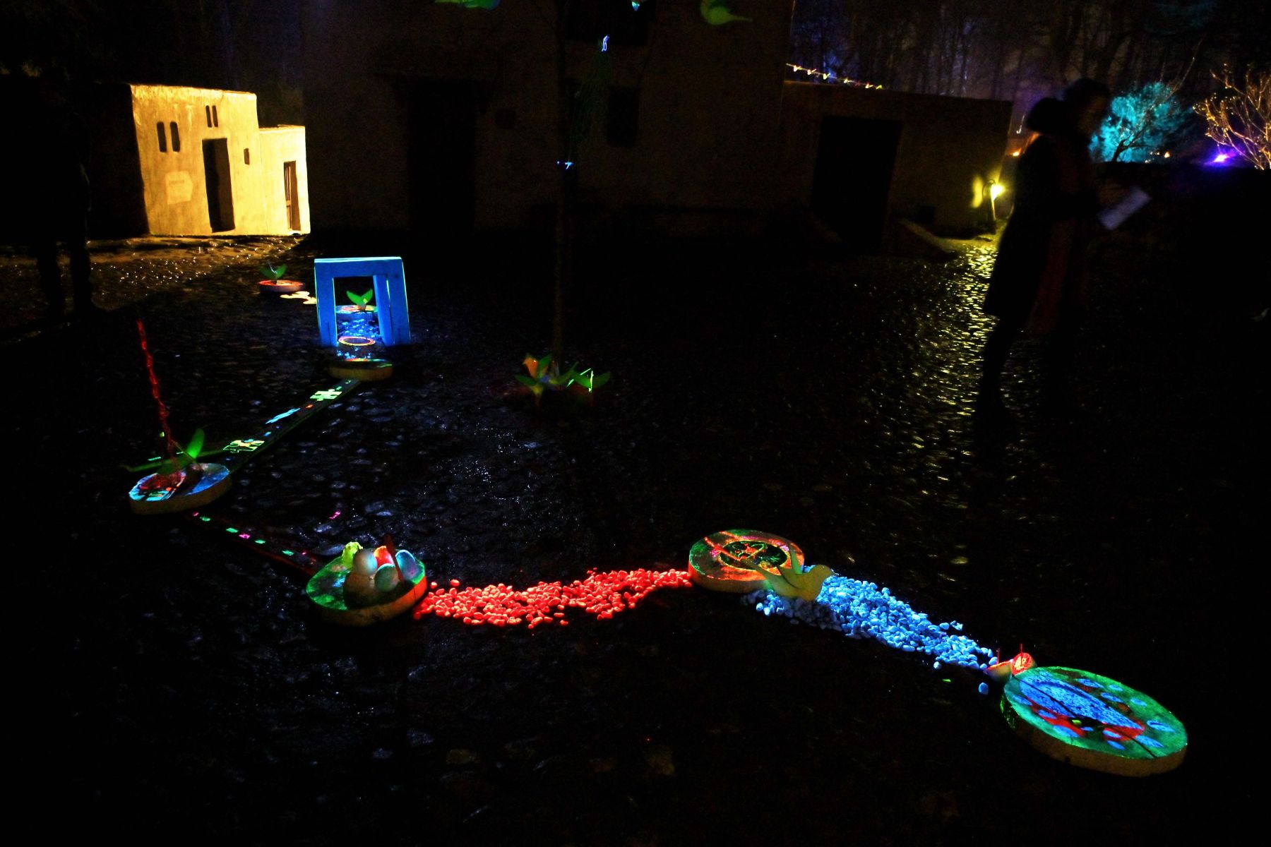 2025 01 03jan Orientales BergenDal NZ6III HC DSC 0861 006