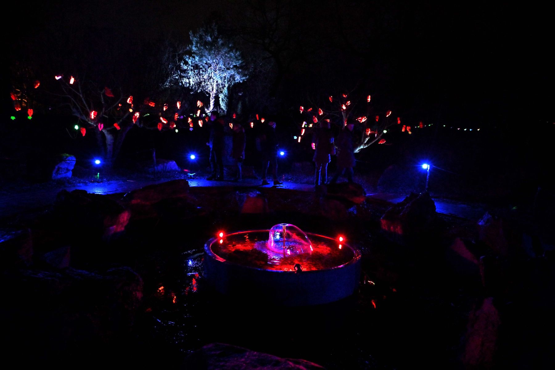 2025 01 03jan Orientales BergenDal NZ6III HC DSC 0866 008