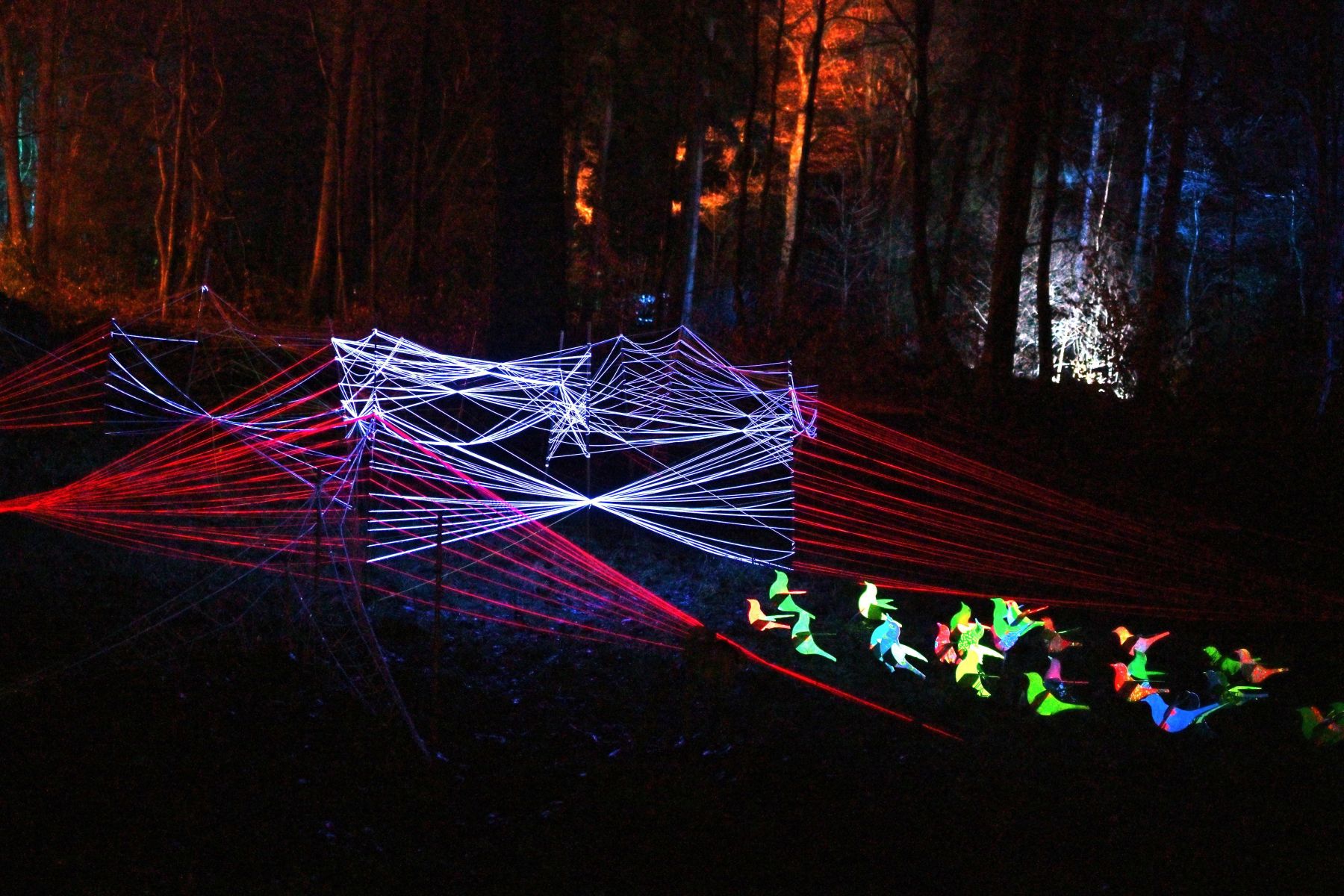 2025 01 03jan Orientales BergenDal NZ6III HC DSC 0872 009