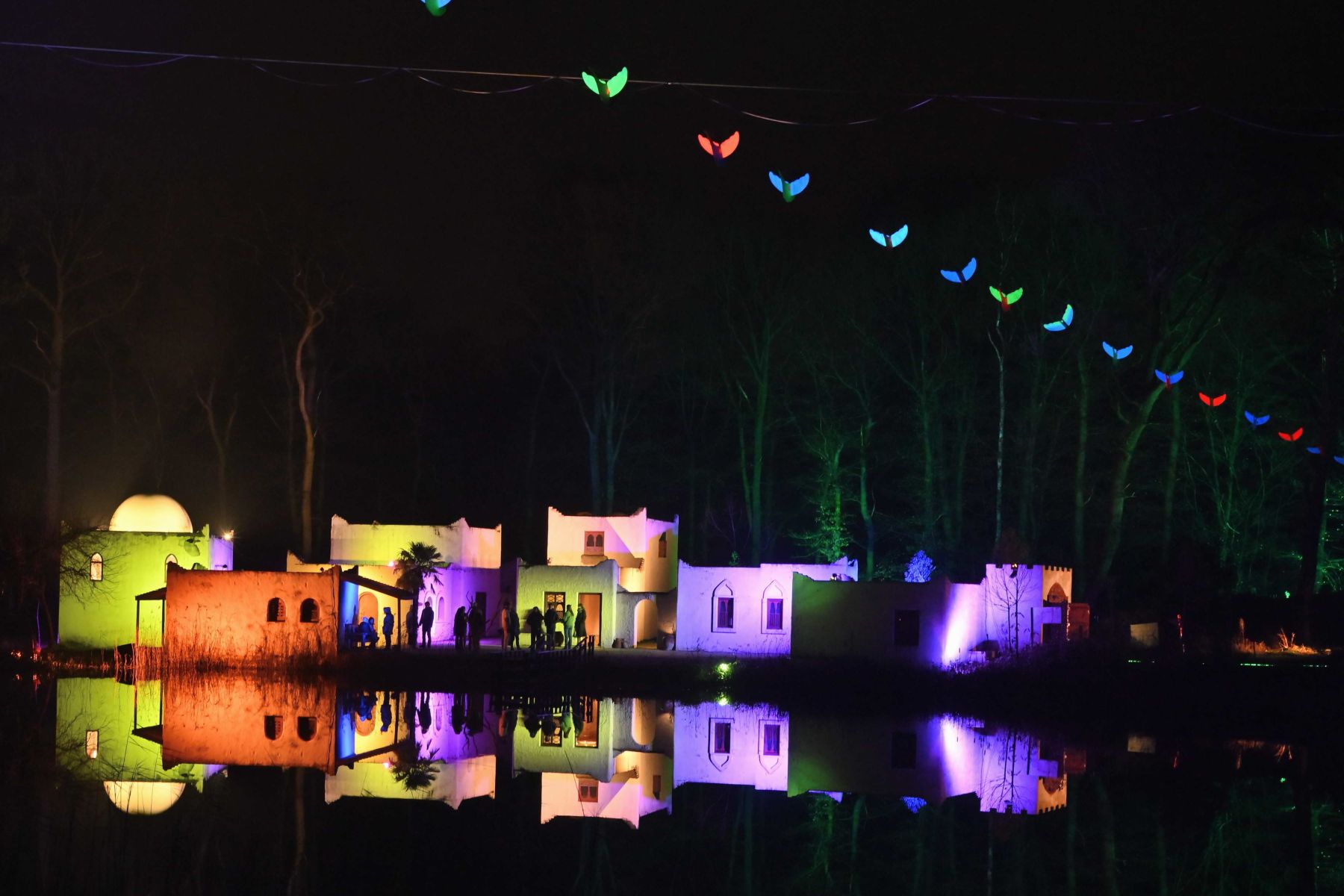 2025 01 03jan Orientales BergenDal NZ6III HC DSC 0885 02 010