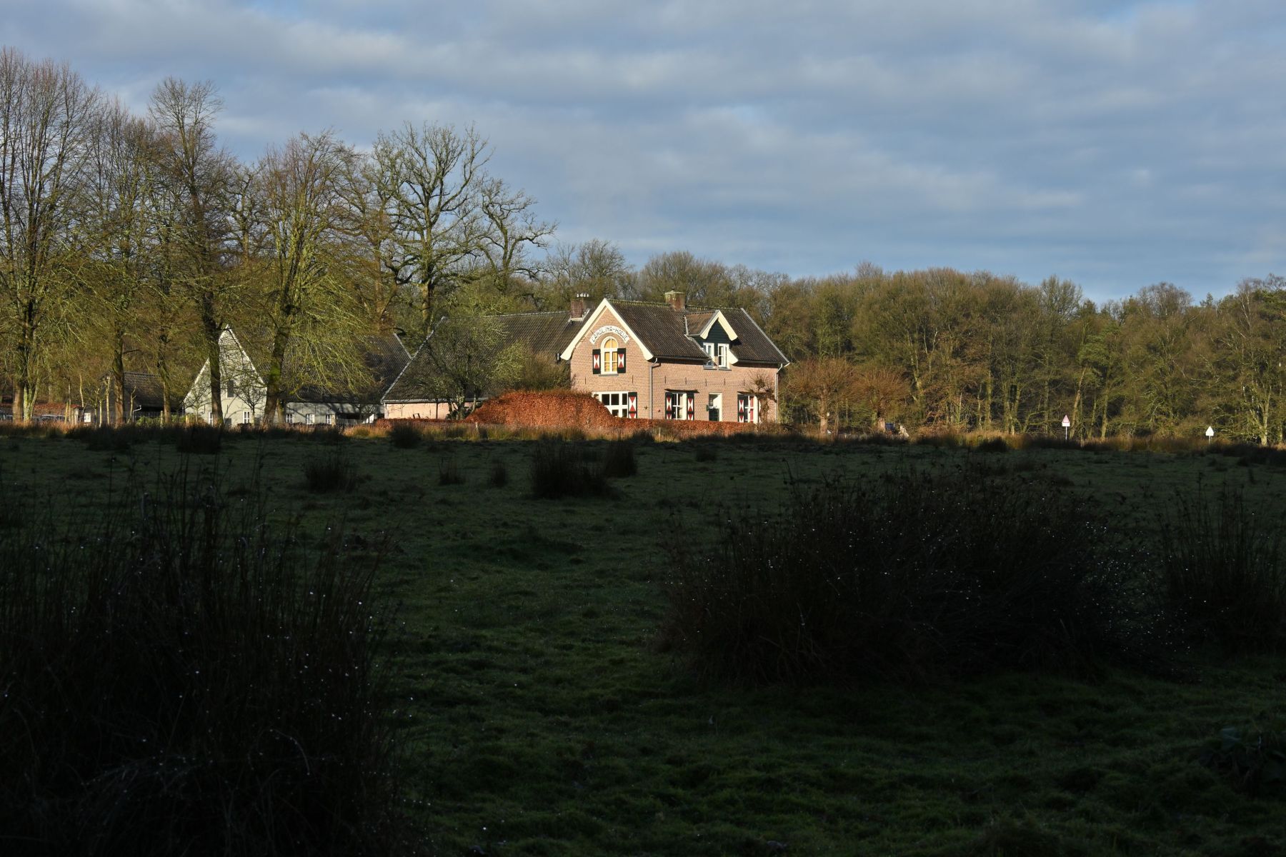 2025 01 26jan OnzaligeBossenDeSteeg U DSC 0970 02