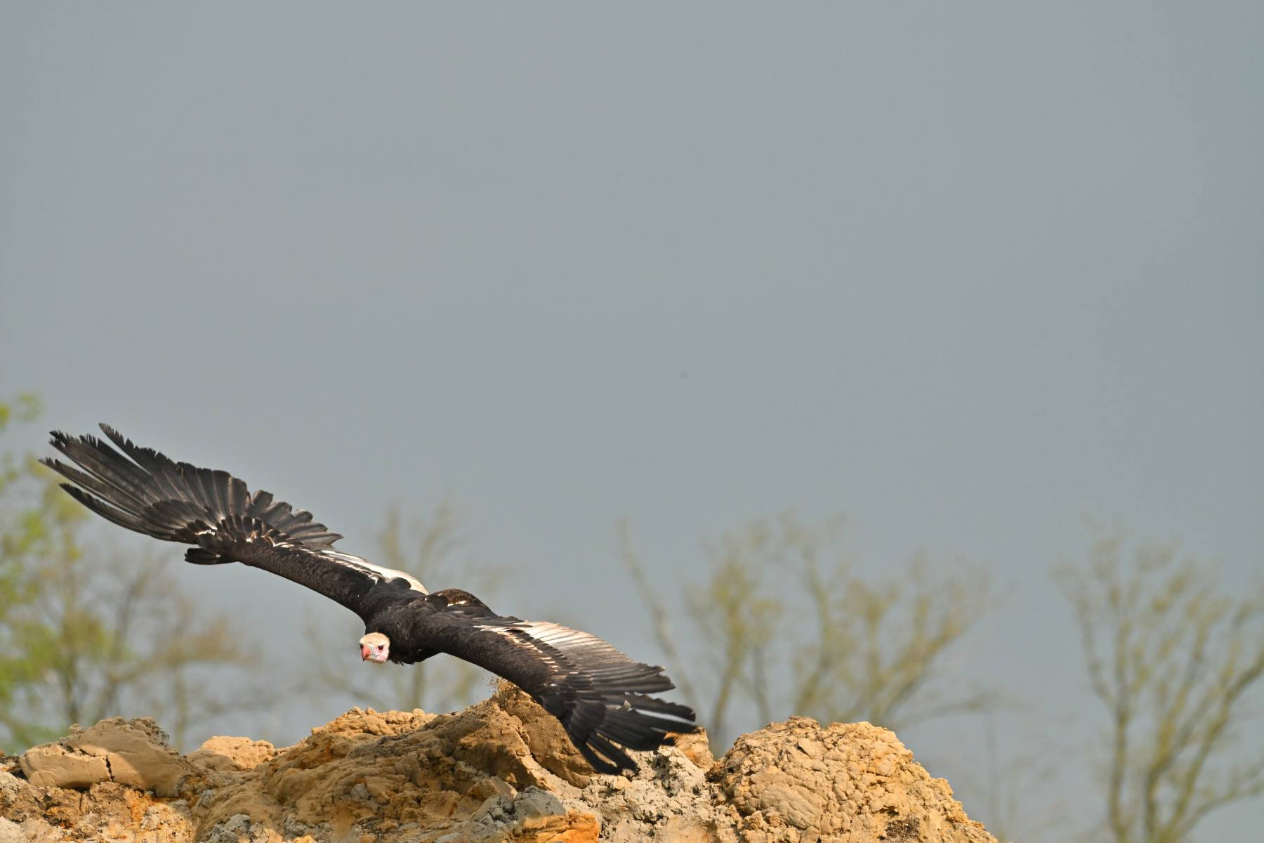 2025 04 13apr0930u Lunteren DeValk Zont GC DSC 2995 02