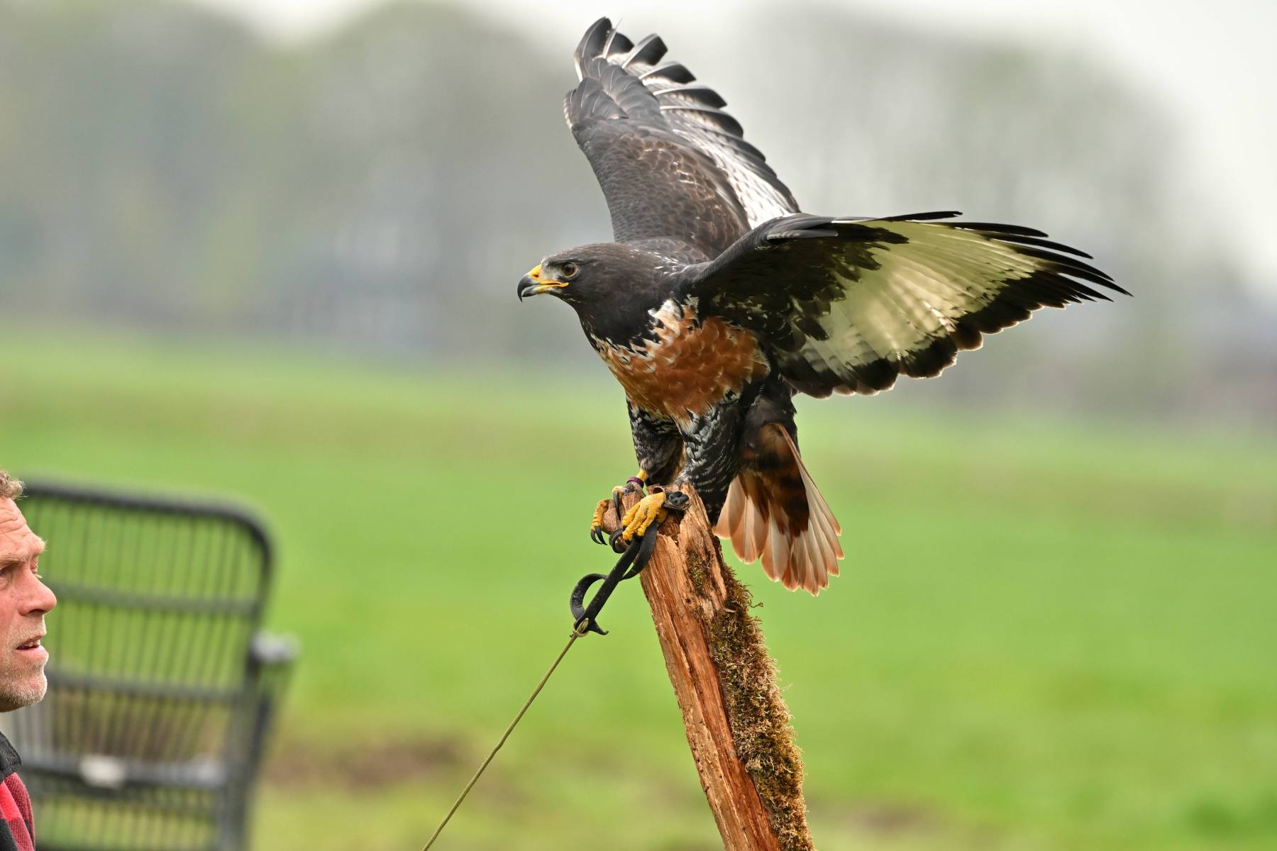 2025 04 13apr0930u Lunteren DeValk Zont GC DSC 3147 02