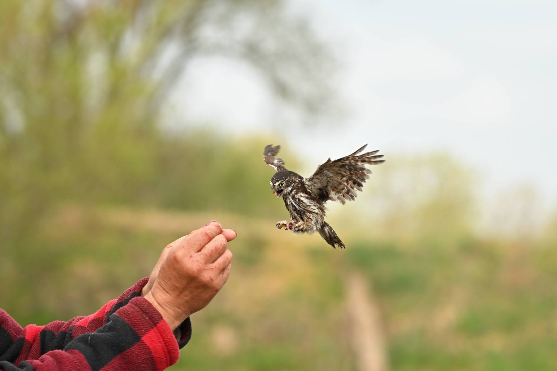 2025 04 13apr0930u Lunteren DeValk Zont GC DSC 3981 02