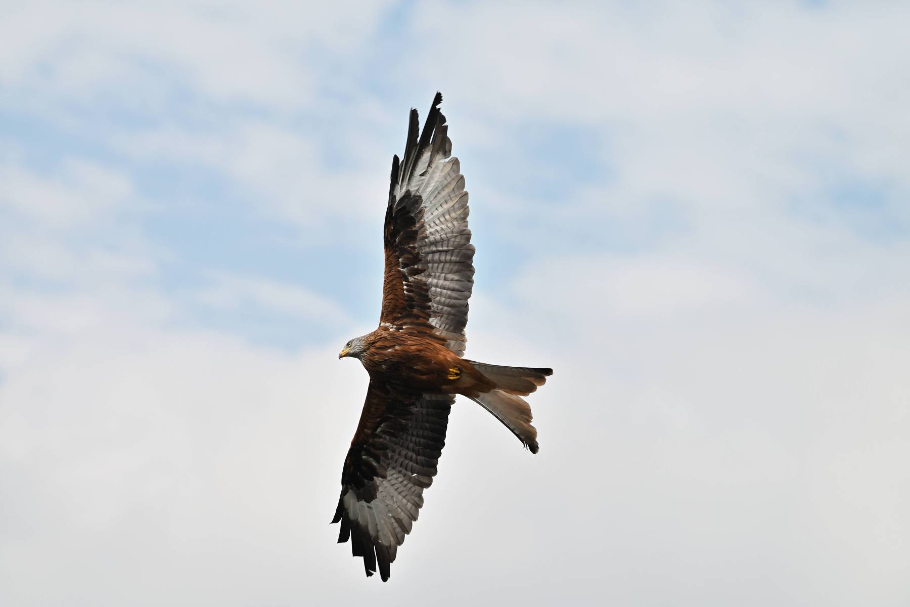 2025 04 13apr0930u Lunteren DeValk Zont GC DSC 4595 02