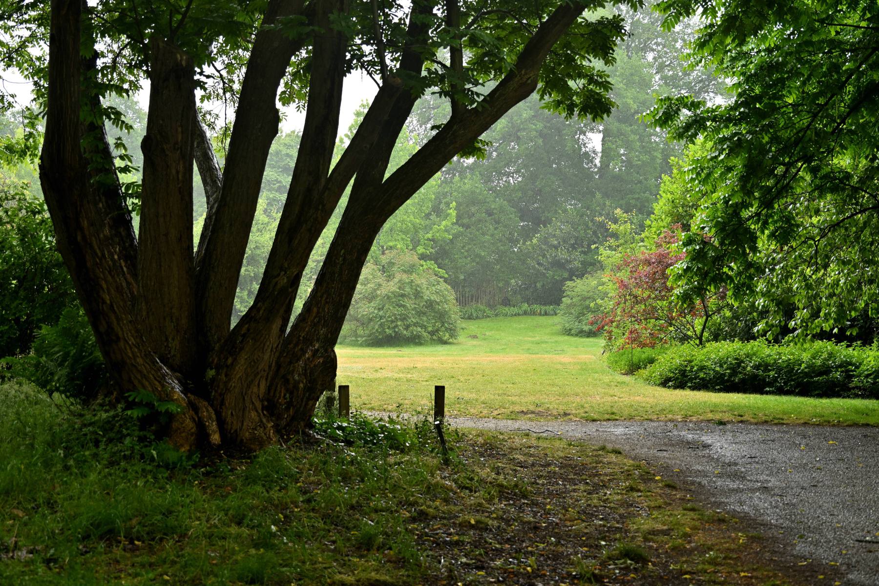 2025 05 25mei Arboretum Wageningen mo GK DSC 5535