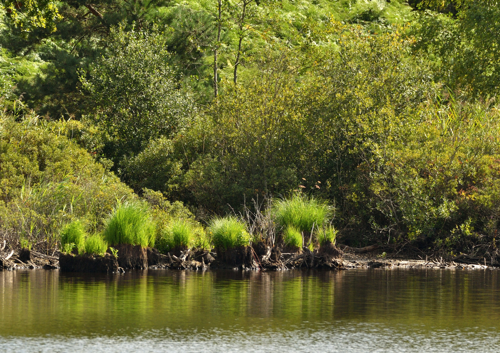 2025 08 24aug Belversven Oisterwijk Zont RAW ND500 GK30 DSC 4523