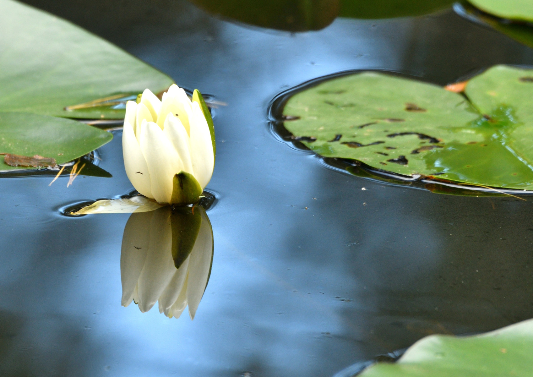 2025 08 24aug Belversven Oisterwijk Zont RAW ND500 GK30 DSC 4573