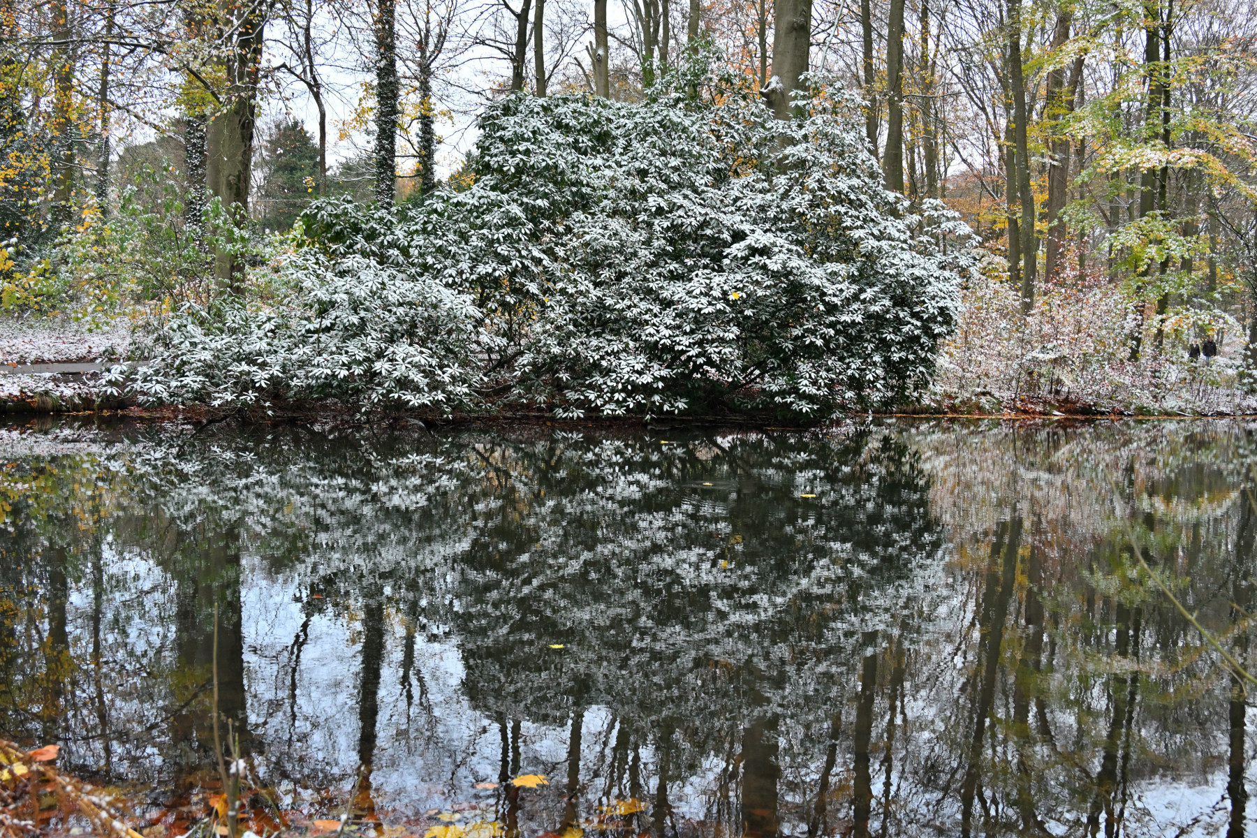 2025 11 23nov Oosterbeek Hemelsberg Ab 01