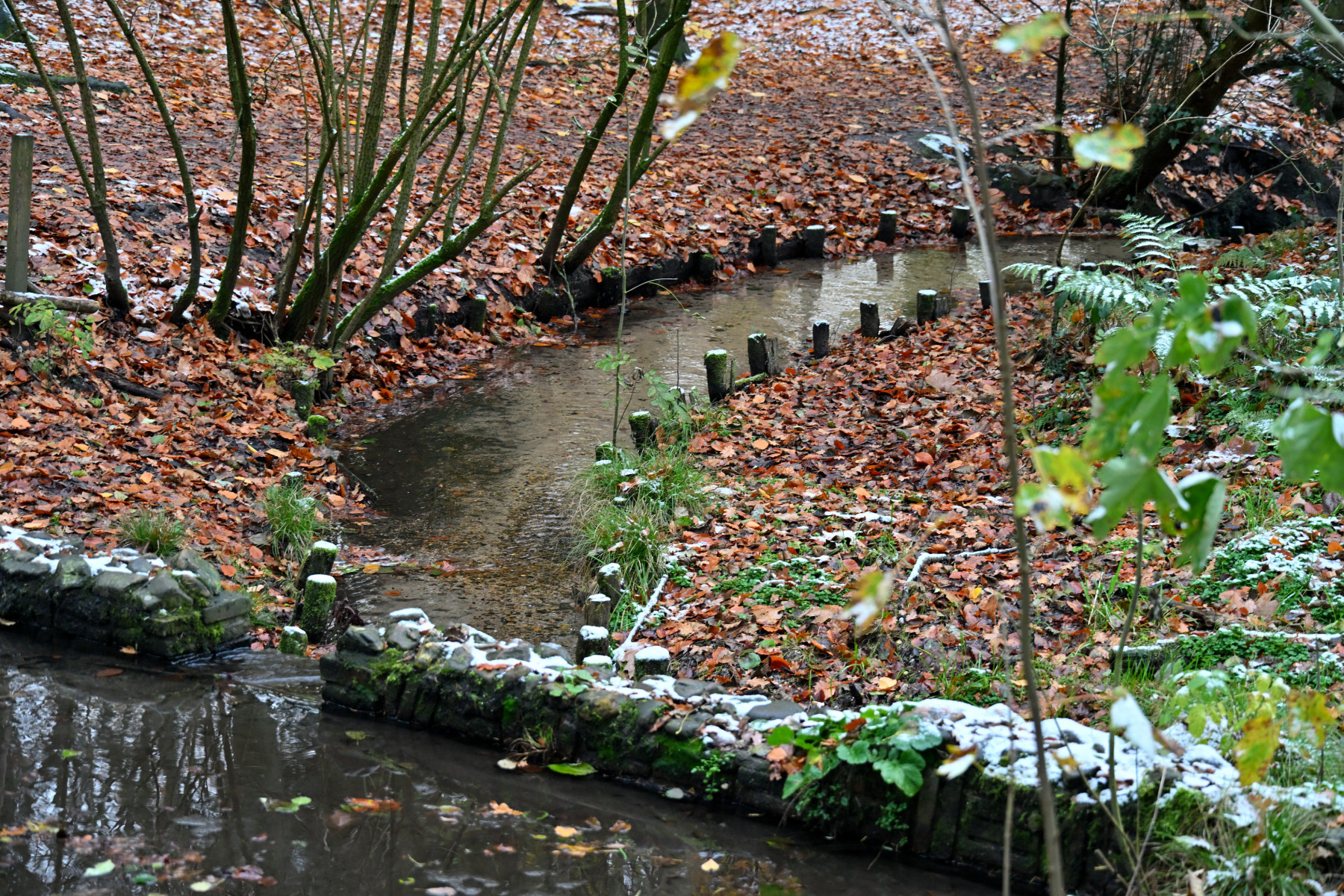 2025 11 23nov Oosterbeek Hemelsberg Ab 04