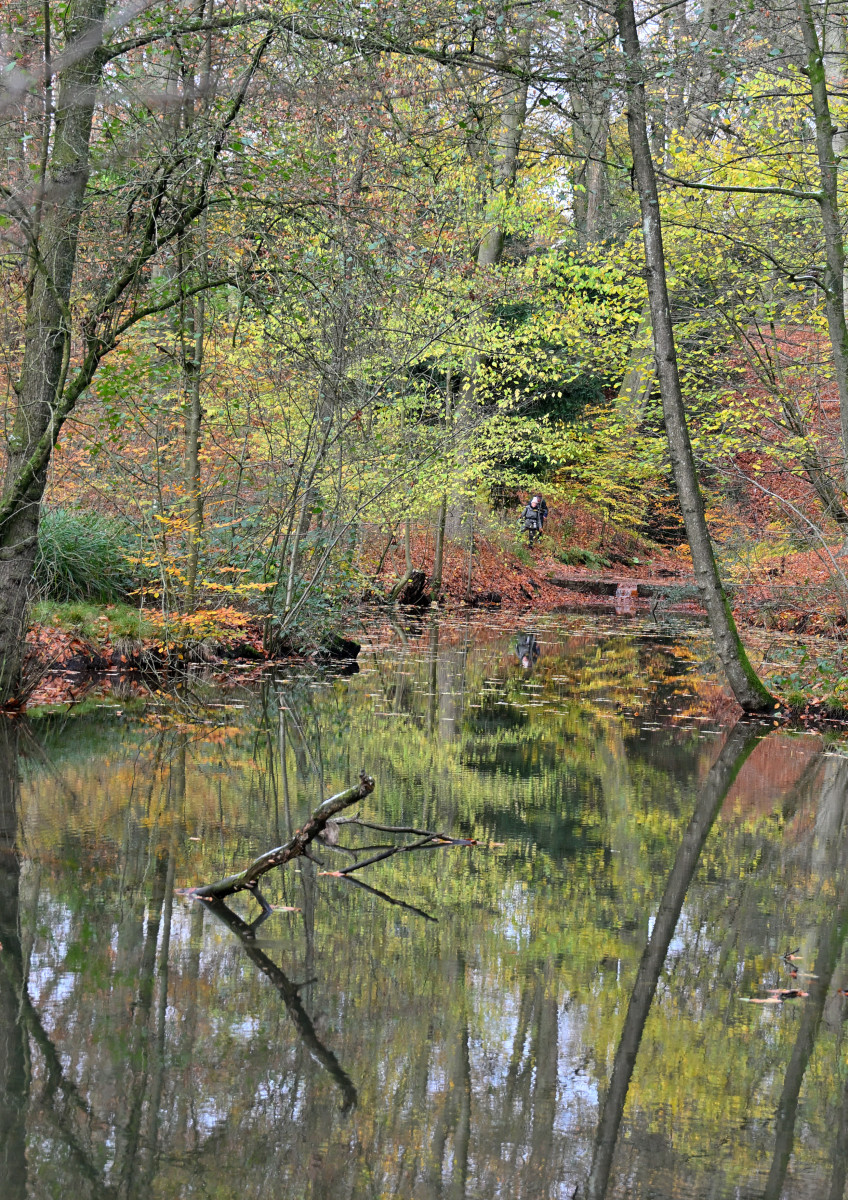 2025 11 23nov Oosterbeek Hemelsberg Ab 09