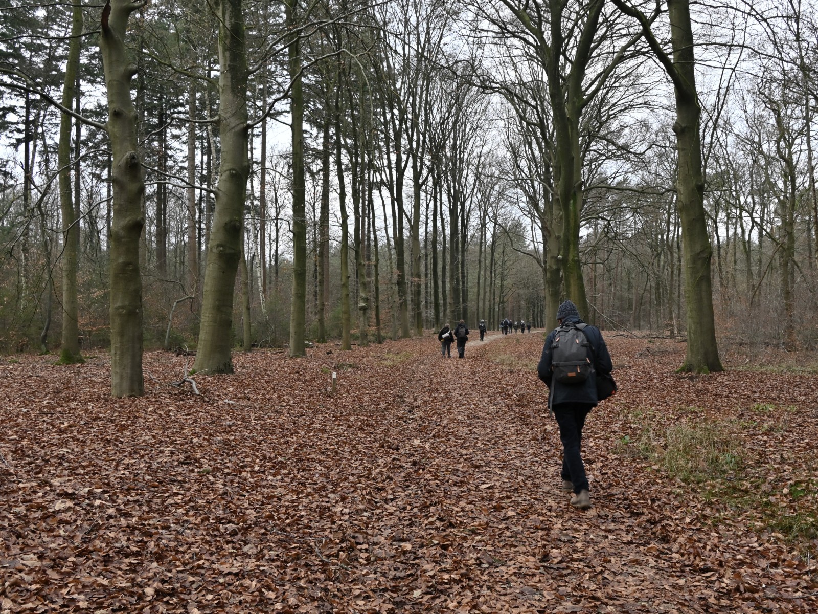 Ab van der Meij 2023 12 17dec Kroondomein HetLoo 4519